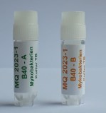 B401