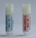 B41