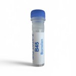 B45